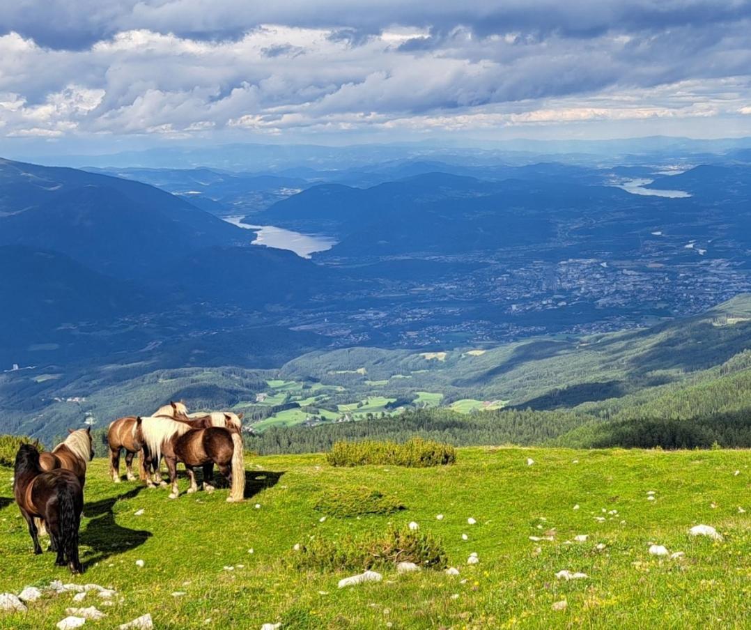 Direkter Seezugang Am Ossiacher See, Radfahren, Wandern & Erlebniscard Villach Kültér fotó